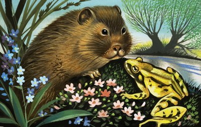 The Water Vole by English School